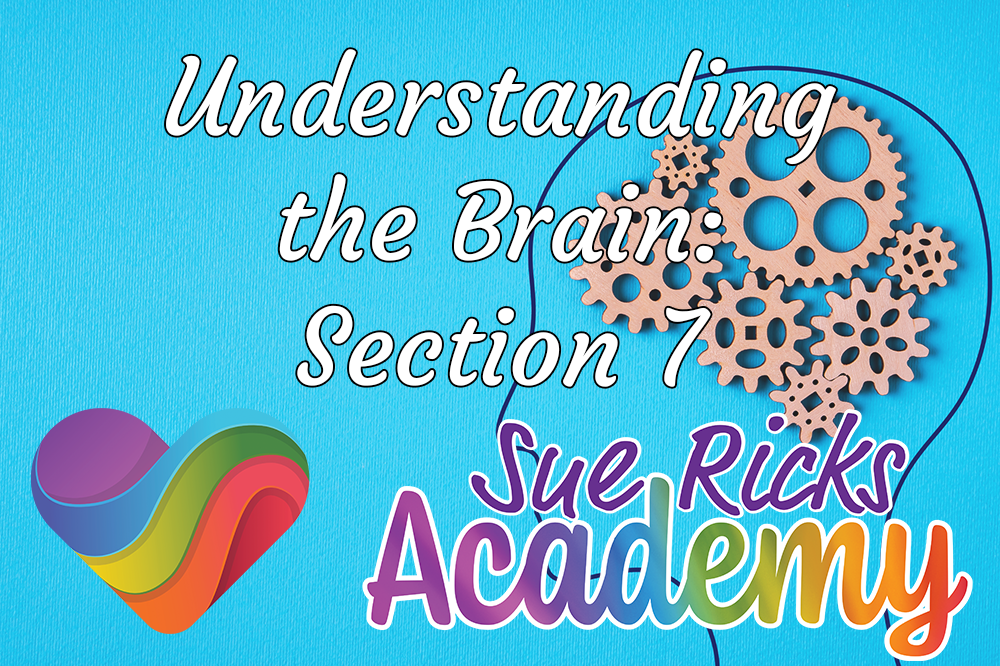 Understanding the Brain - Section 7